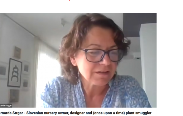Intervju Bernarde Strgar z Noelom Kingsburyjem, Gardenmasterclass